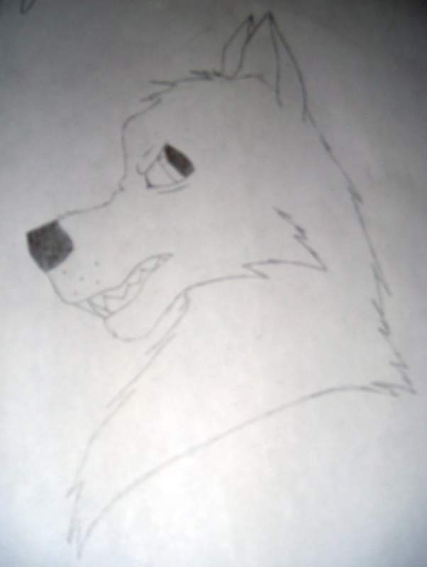 Tronar I will bite you *GRR*