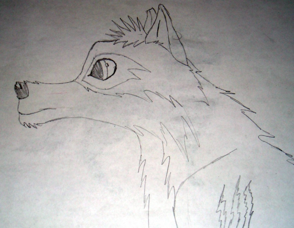 Spike