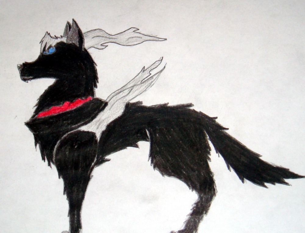 Darkrai as a wolf.