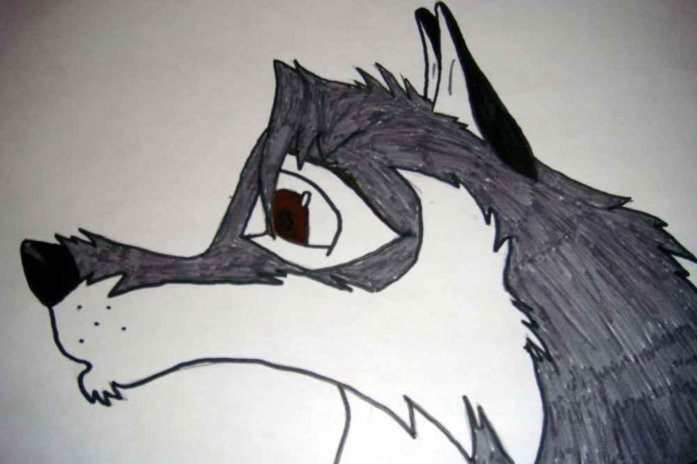 Colored White fang