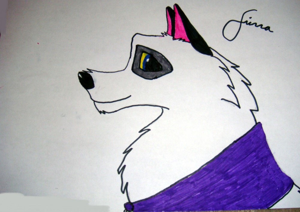 Sierra, Sierra-Wolf101's Character.