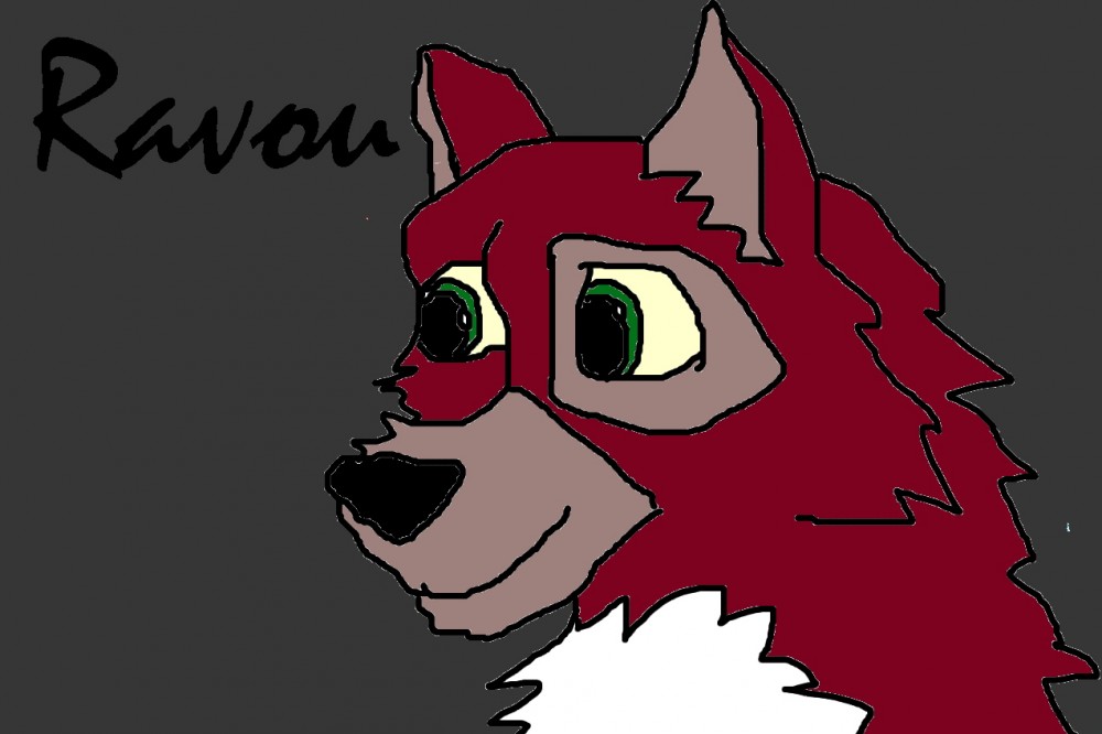 Ravou, a pup from Jayla and sawyer.