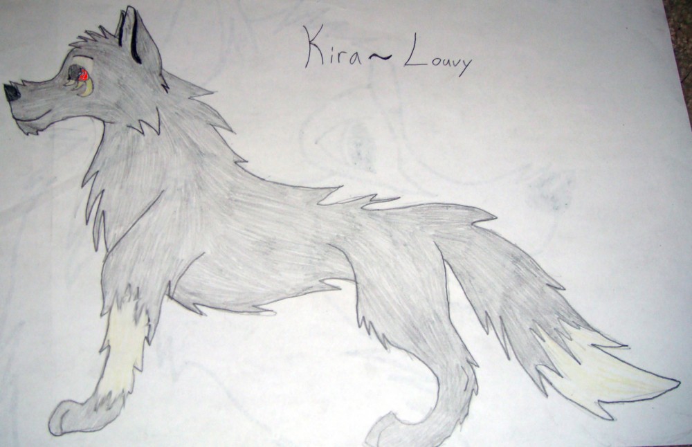 Louvy (c) Louvy