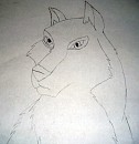 Aniu