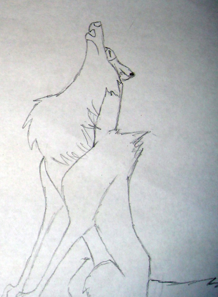 Aniu Howling