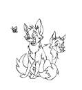 Puppies