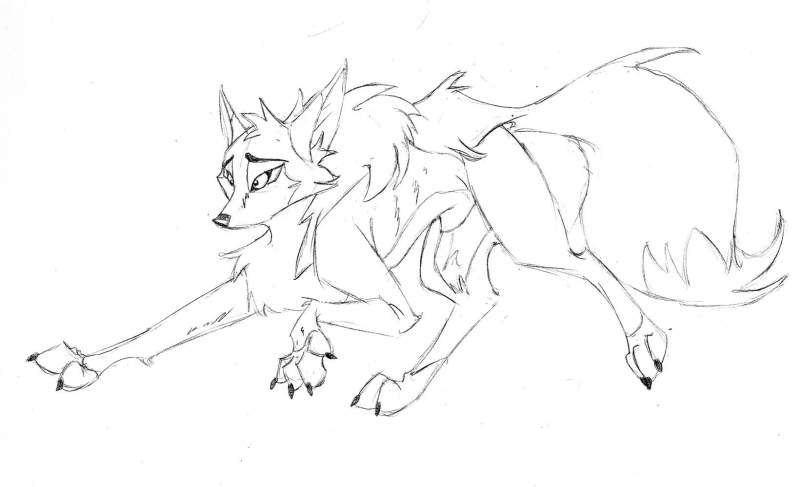 Some wolf
