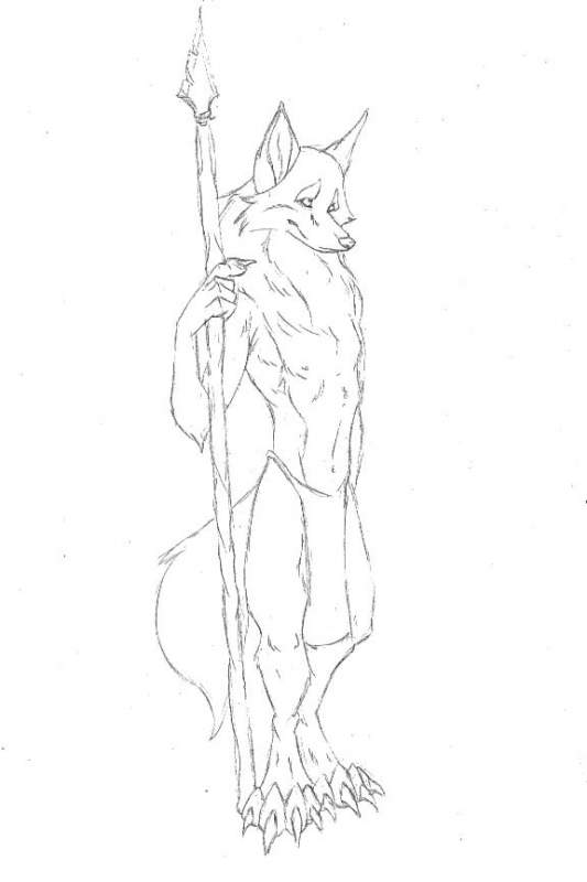 Tribal fox