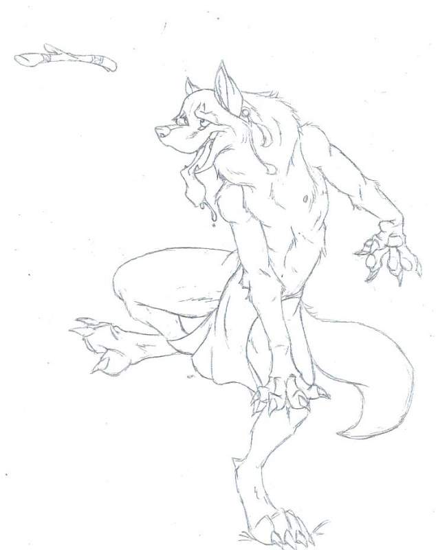 Fetch!!!!!