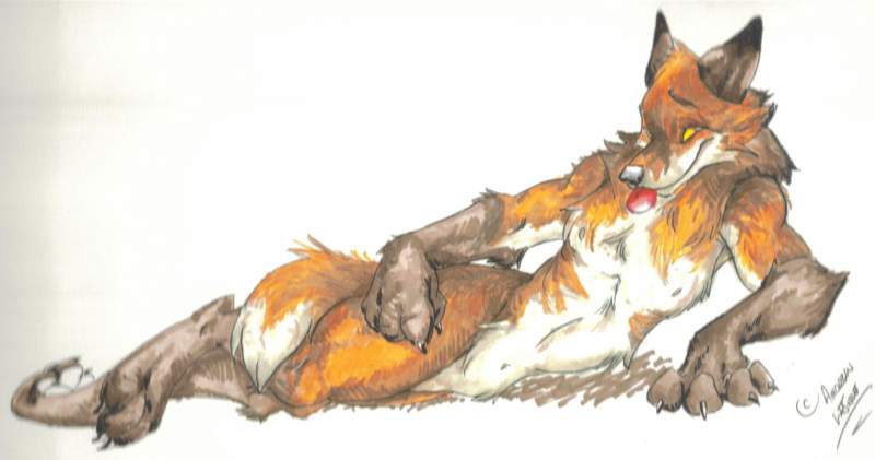 Fox Marker 