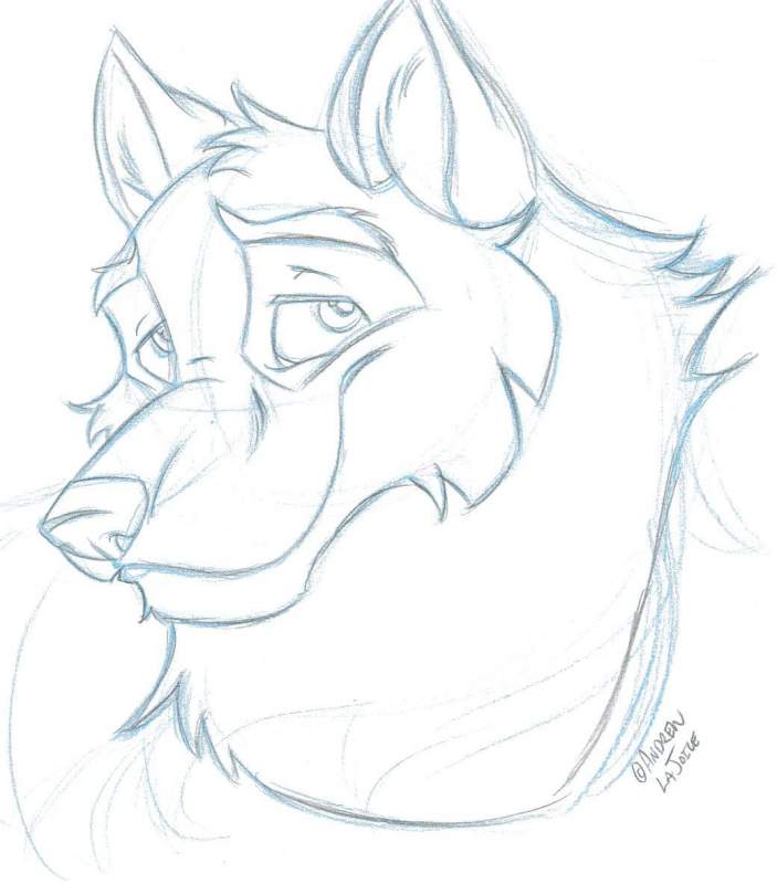Vector WOlf