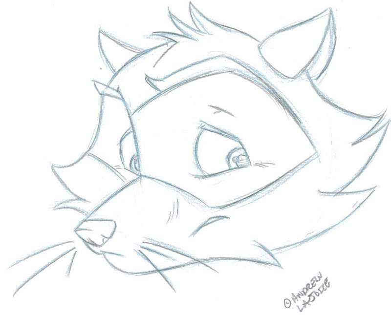 Vector Raccoon