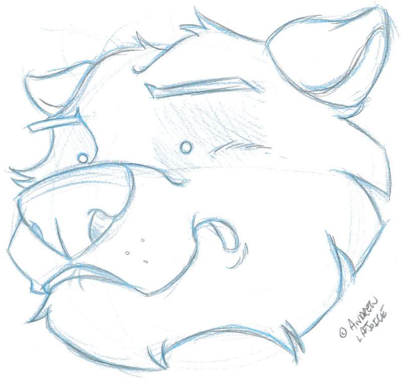 Vector Bear