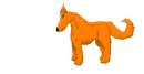 orange wolf