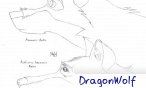 DragonWolf