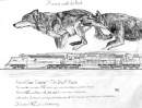 Wolves and trains racing.