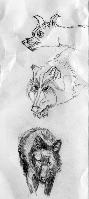 Some Sketches