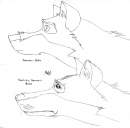 Balto anim and Real....kind of