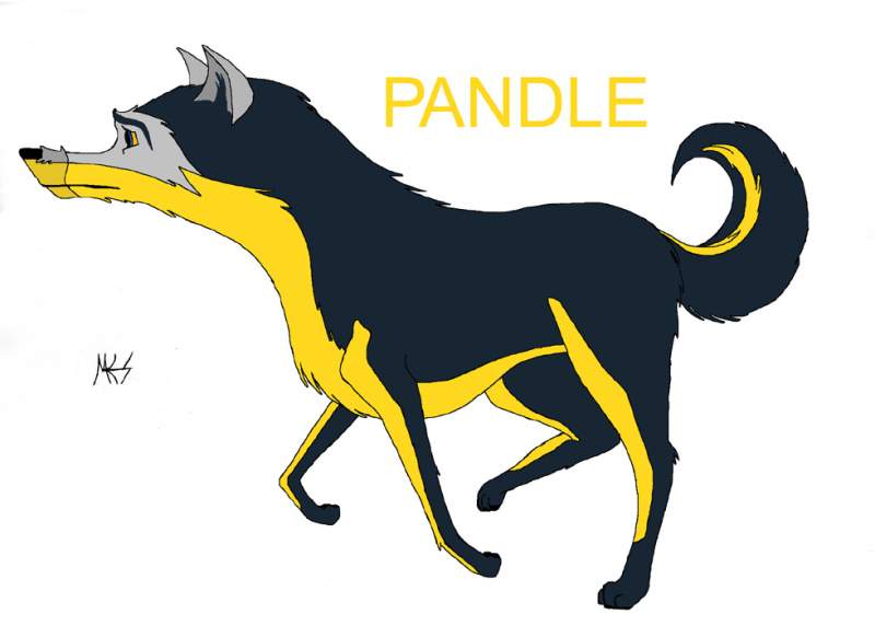 PandLE