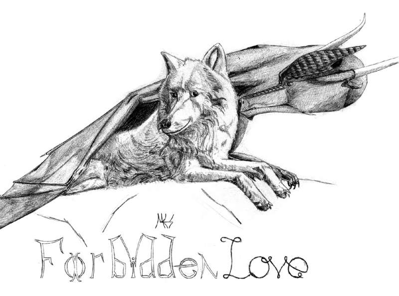 Forbidden Love