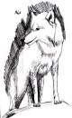 White Wolf