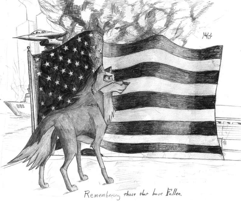Balto American Flag