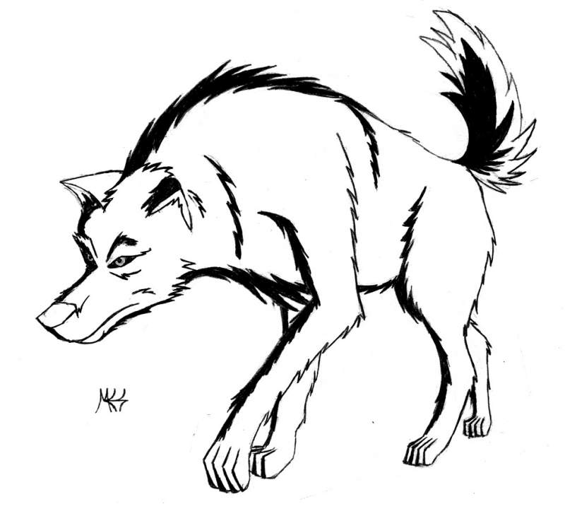 Two tone Wolf