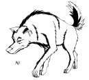 Two tone Wolf