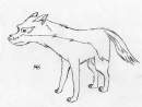 Sad Wolf