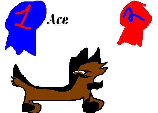 Ace my new german Shepherd
