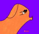 Biscut My new golden retriver