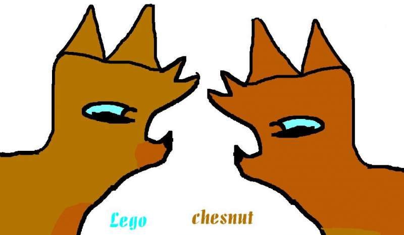 Lego and chesnut