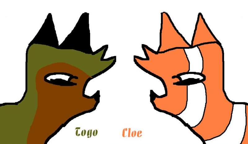 Togo and Cloe