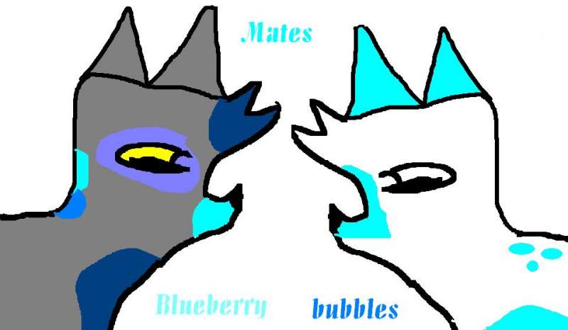 Blueberry and Bubbles