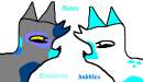 Blueberry and Bubbles
