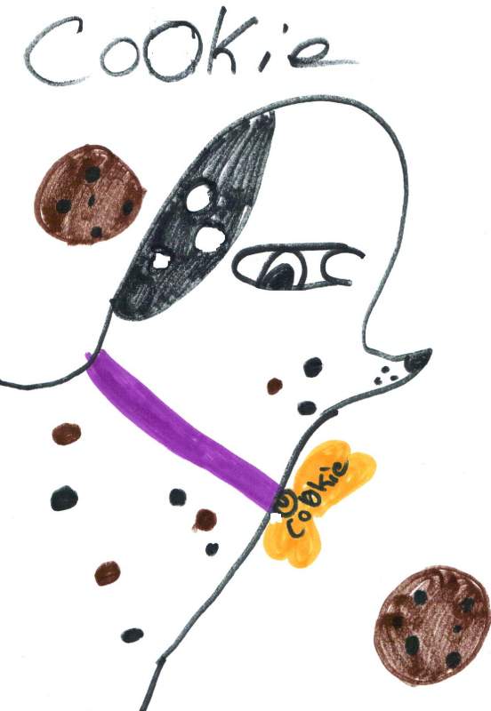 Cookie 