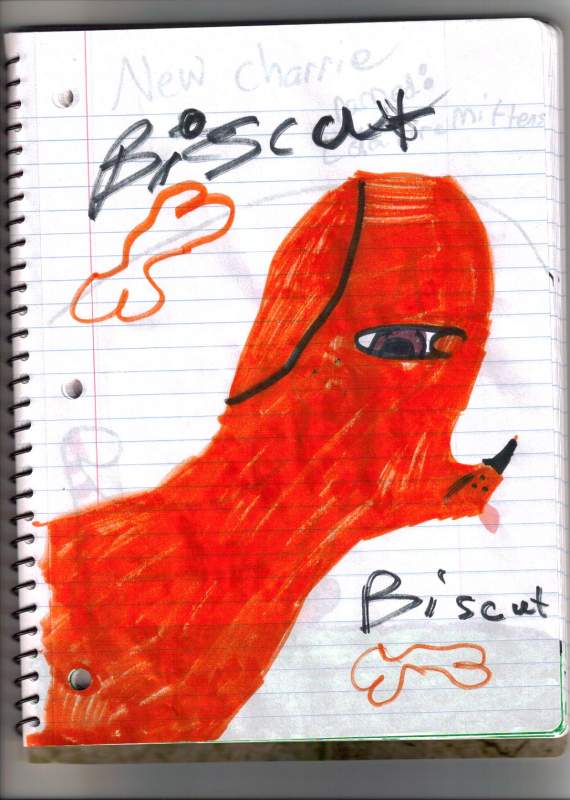 biscut