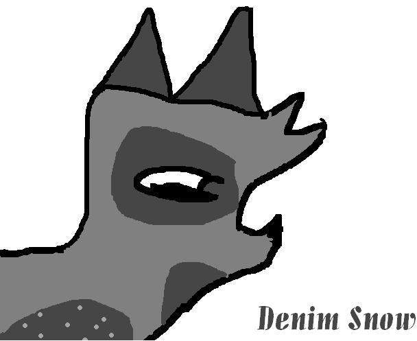 Denim Snow
