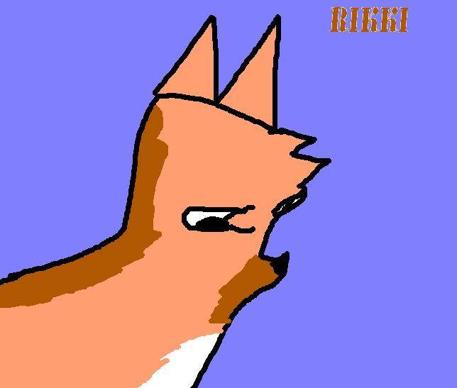 Riki
