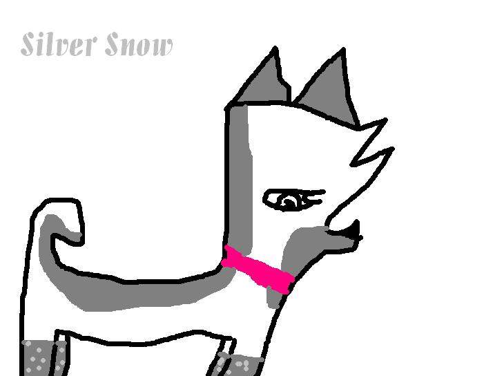 Silver Snow