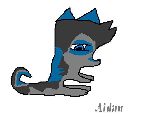 More Aidan!