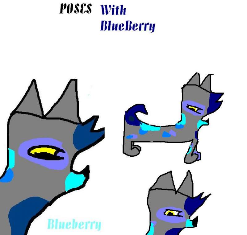 Alot of blueberry pics