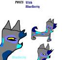 Alot of blueberry pics