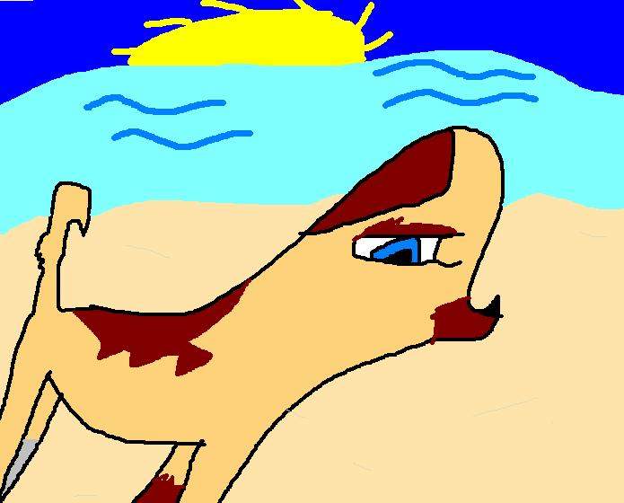 RazzlePaw for Sandy~Ray