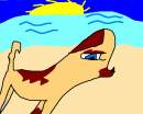 RazzlePaw for Sandy~Ray