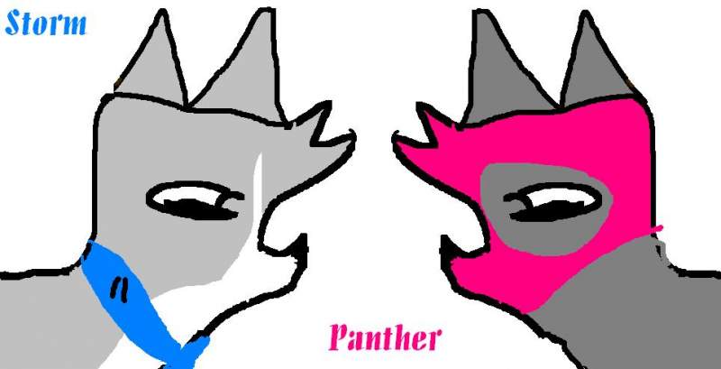 Storm and her buddy Panther