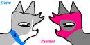 Storm and her buddy Panther
