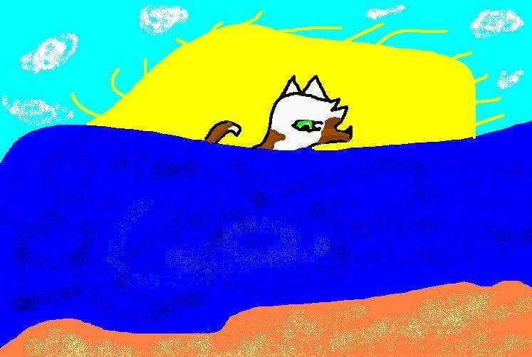 Truffle swimming