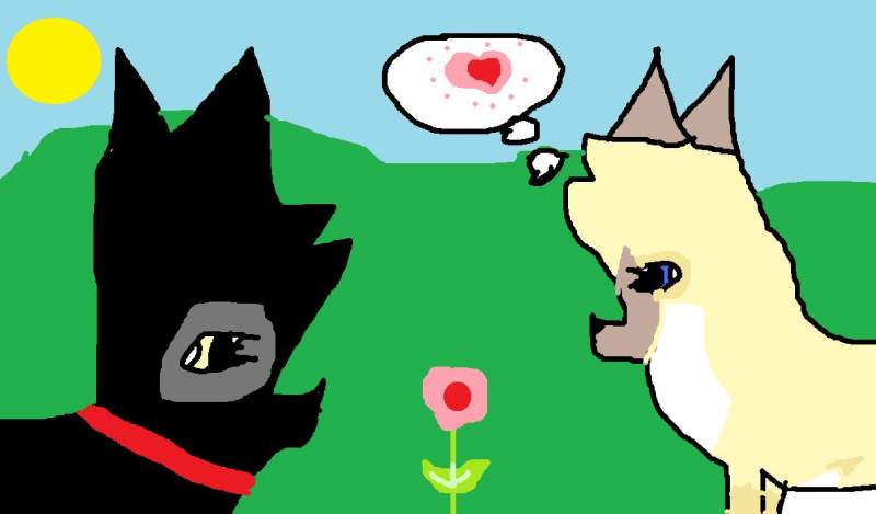 Khan and bear for white wolf's moon