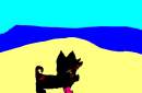 Adish at the beach(for callmekate)